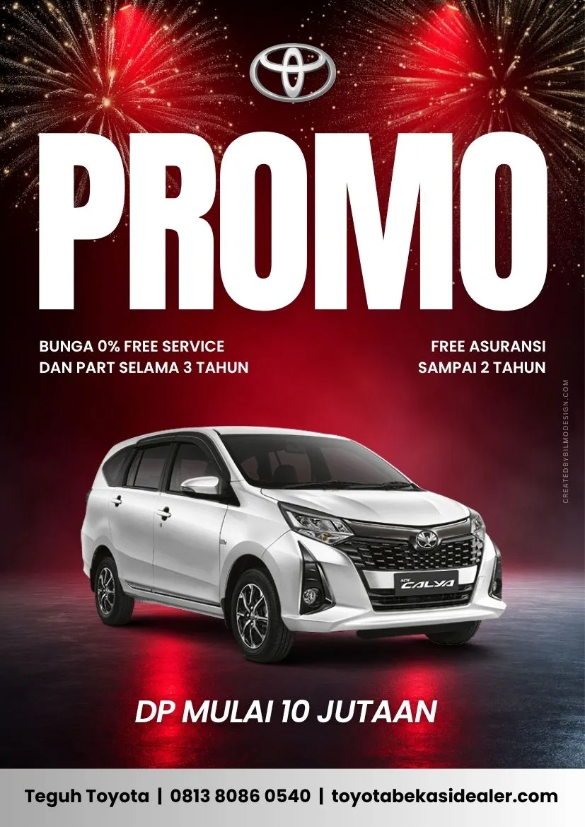 PROMO TEGUH